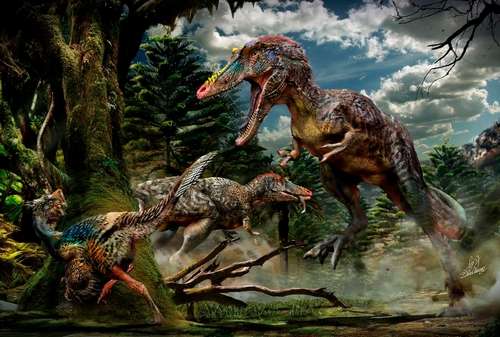 حقيقة العثور على ديناصور في إب وإلتقاط بعض من صور الديناصور في اليمن !! 3