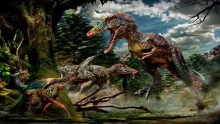 حقيقة العثور على ديناصور في إب وإلتقاط بعض من صور الديناصور في اليمن !!
